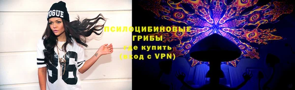 соль ск Алексин