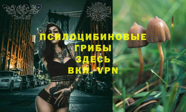 марки nbome Алзамай