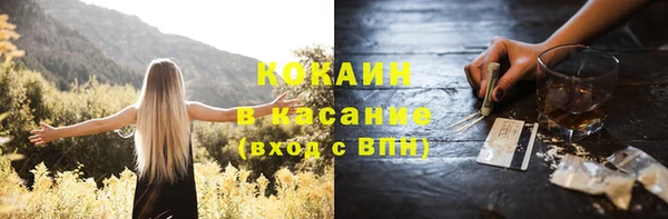 соль ск Алексин