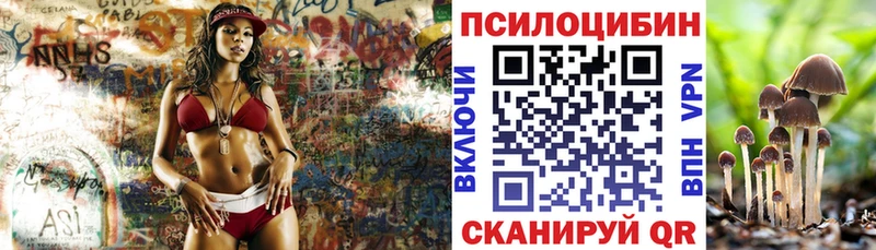 Псилоцибиновые грибы MAGIC MUSHROOMS  купить  сайты  Вилючинск 